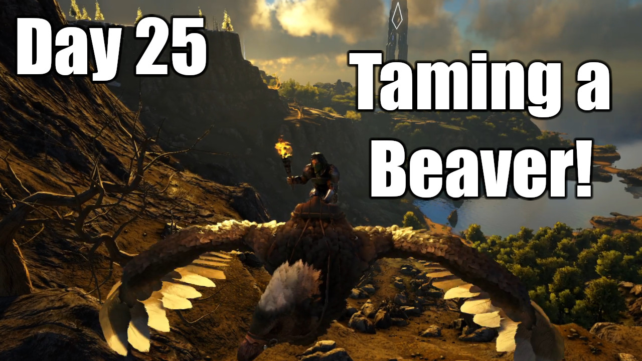 Taming a Beaver!