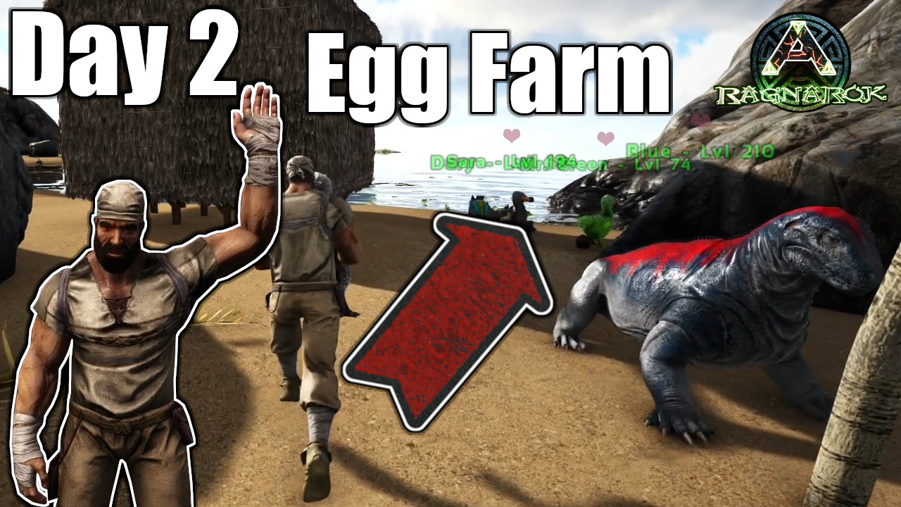 Starting an Egg Farm!