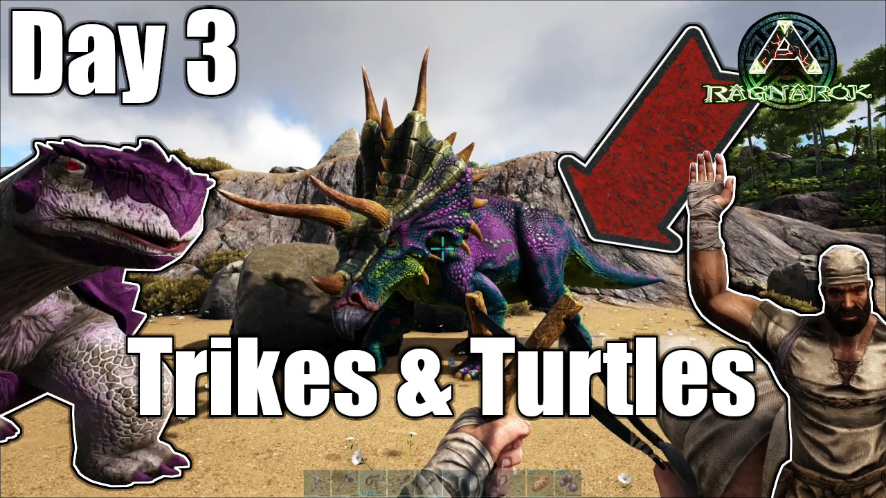 Trikes & Turtles!