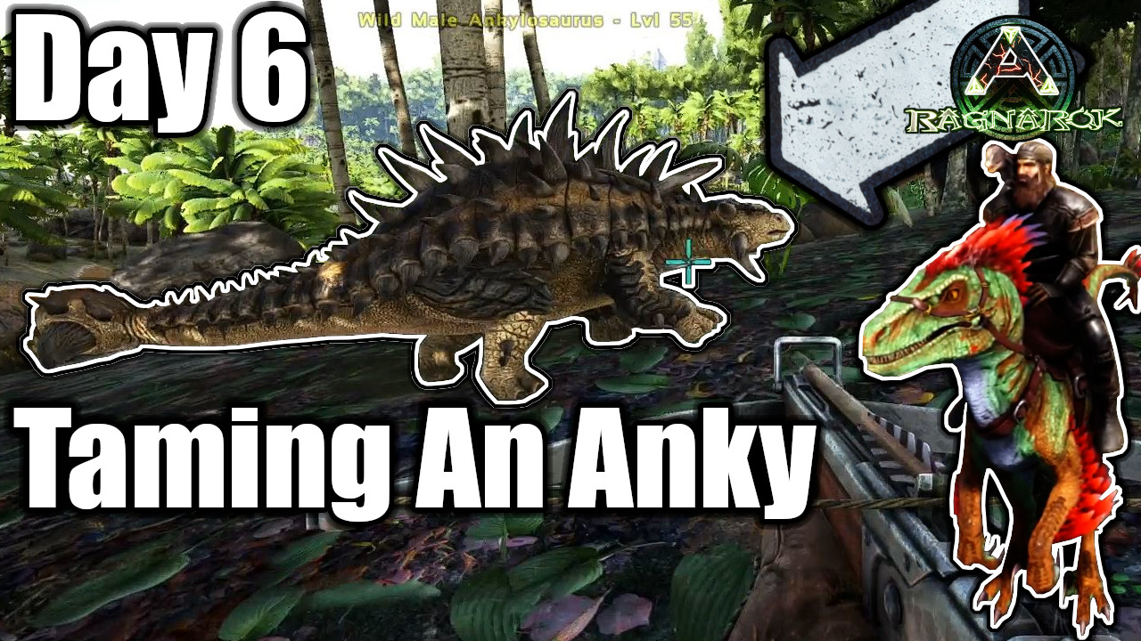 Taming an Anky!