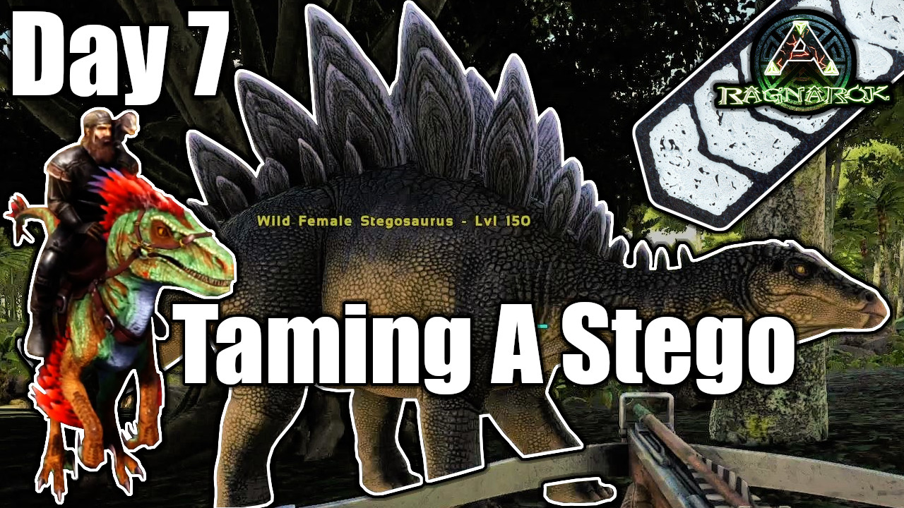 Taming a Stego!