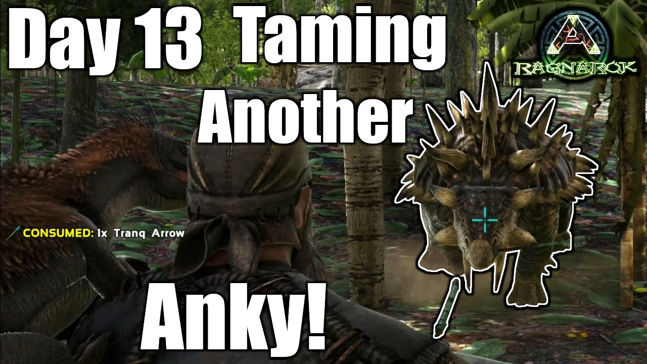 Taming Another Anky!