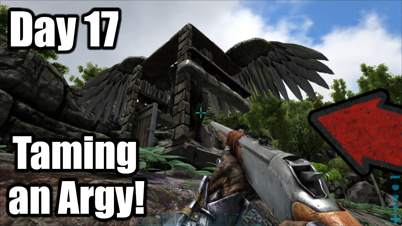 Taming an Argy!