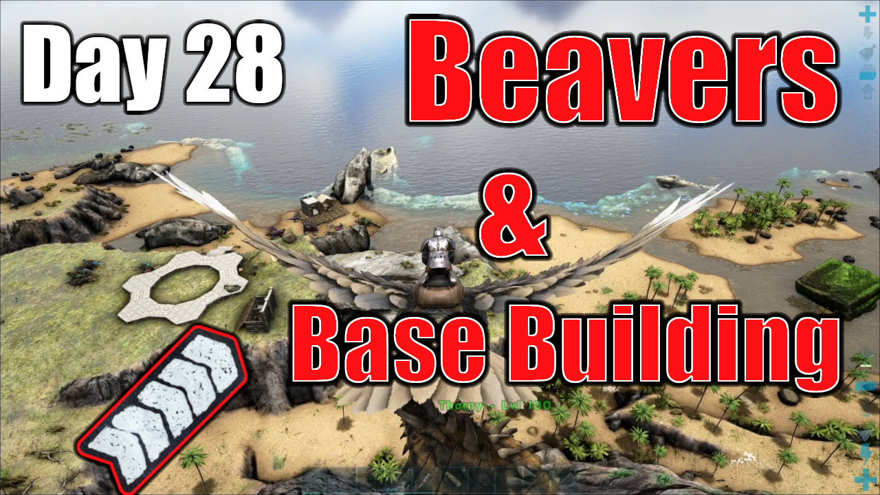 Beavers and Base Building!